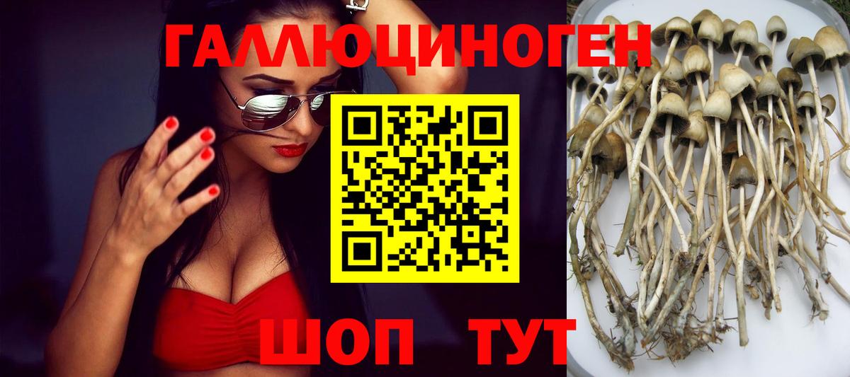 Галлюциногенные грибы GOLDEN TEACHER Соликамск